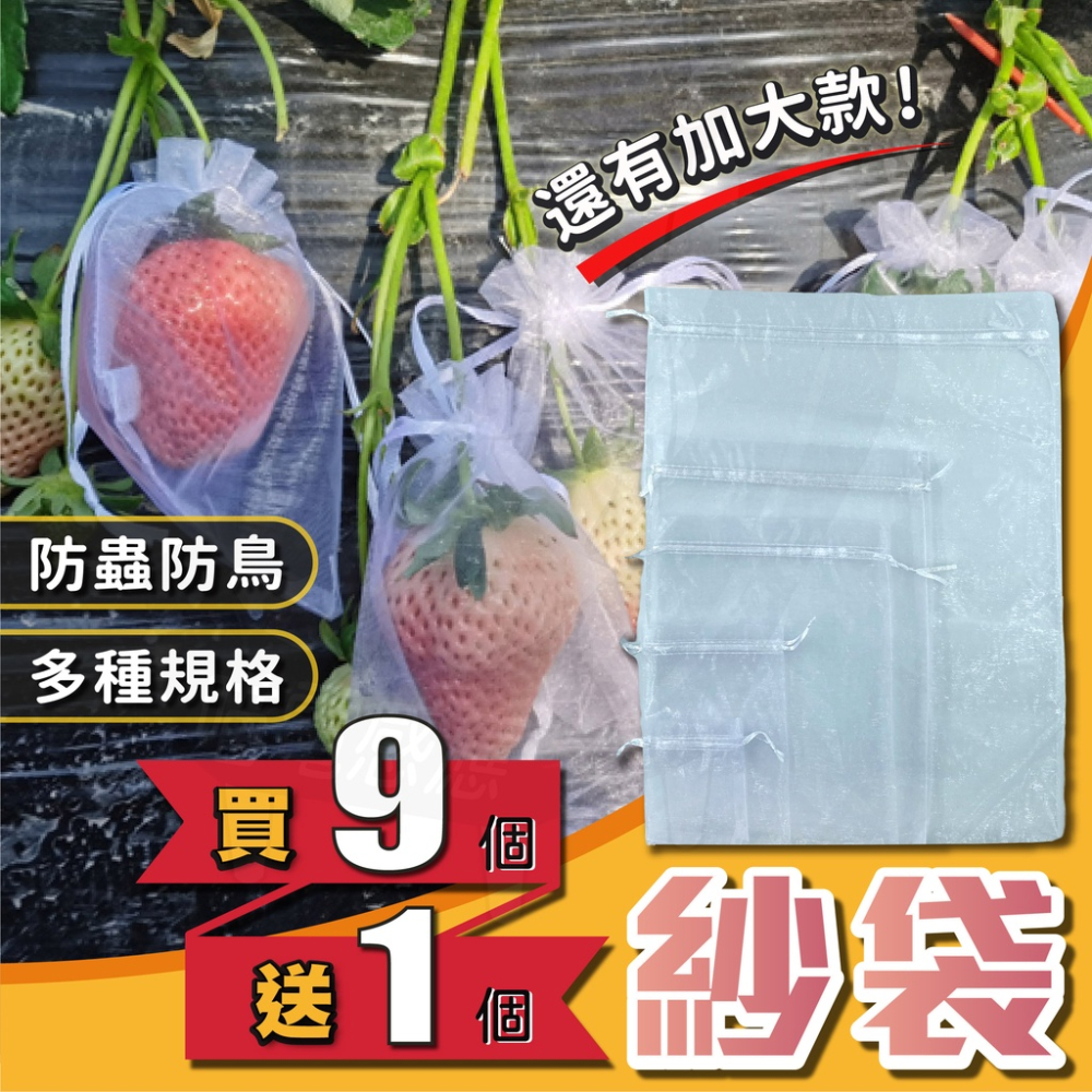 紗網袋 網袋 紗袋 [開發票][24H發貨] 束口袋 水果網袋 水果袋 束口網袋 白色網袋 白色紗袋