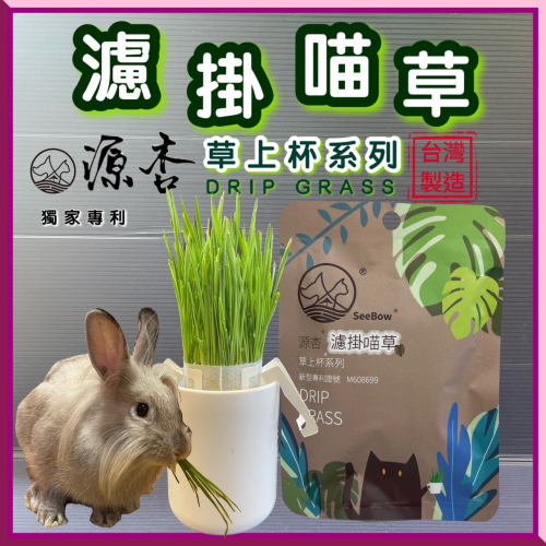 ★JIA★源杏 濾掛式 精心挑選優質種子 喵草 DIY 烏龜 兔草 愛貓嚴選 交換禮物 濾掛喵草 小鳥 狗草