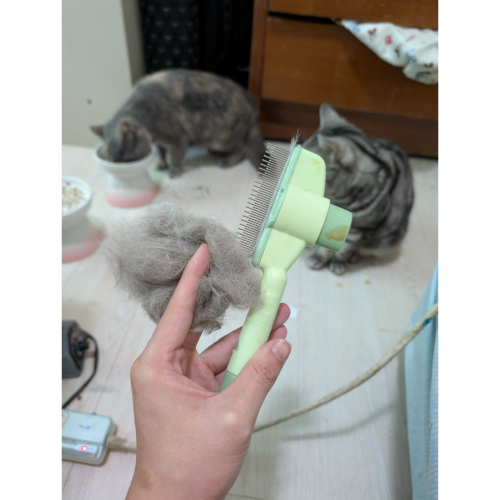 超讚貓毛梳子