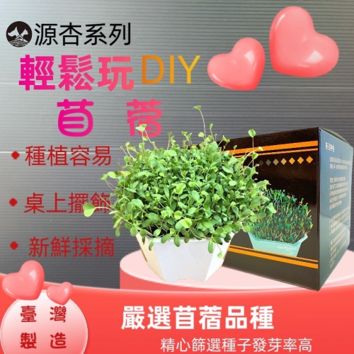 ★JIA★源杏 輕鬆玩苜蓿 一盒2盆 栽培盒 精心挑選優質種子 貓草 DIY 辦公室桌面 生態果蔬植物種子