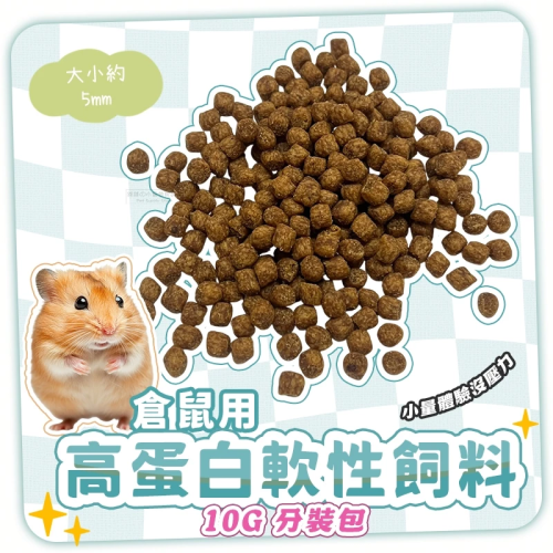 【現貨】倉鼠用高蛋白軟性飼料 10g 軟顆粒倉鼠糧 軟性倉鼠飼料 倉鼠零食 黃金鼠 銀狐 熊鼠 寵物鼠飼料 倉鼠點心