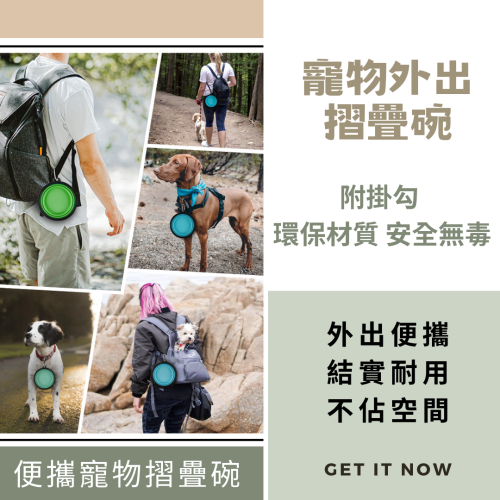 【YeeGo 億購寵物】S號 寵物摺疊碗 寵物外出碗 附扣環 摺疊碗 狗狗外出碗 貓咪外出 狗碗