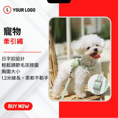 【YeeGo 億購寵物】小兔款工字型胸背帶套裝 貓咪牽繩 貓牽繩 寵物胸背帶 貓咪胸背帶 胸背帶