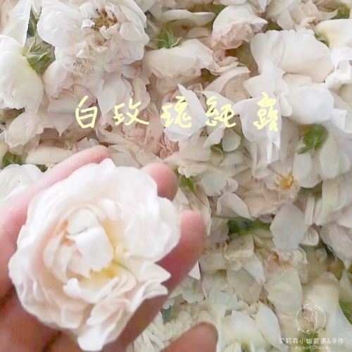 艾莉森嚴選 飽和純露 白玫瑰純露 香氣細緻、優雅 如法國皇室的小公主? 純天然 不加一滴水
