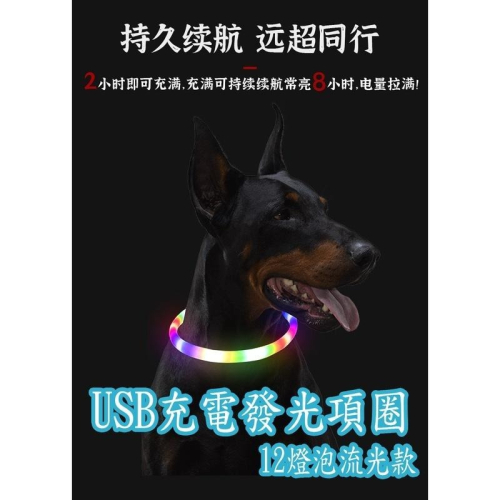 USB寵物發光項圈 流光12燈泡款 回頭率超高又顯眼更安全