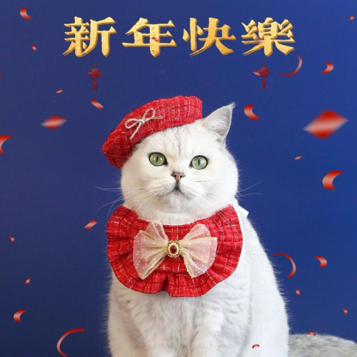 寵愛毛宅 寵物新年喜慶項圈 寵物新年圍兜 寵物蓓蕾帽 寵物新年裝扮