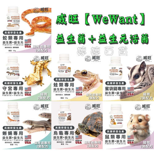 威旺 爬蟲小動物專用益生菌+益生元活菌 雙益菌 幫助促進消化 蛇類 守宮 蛙類 蜥蜴 龜類 蜜袋鼯 鼠類 婷婷水族 兩爬