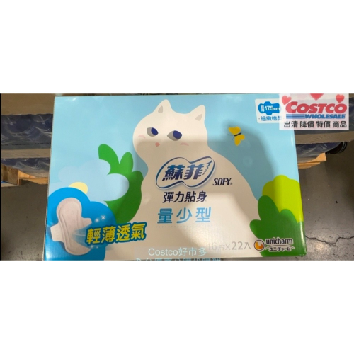 蘇菲