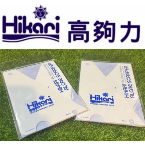 【臥水族】高夠力刮刀