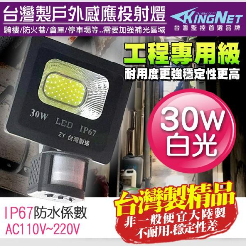 Z【無名】監視器 防盜 感應燈 燈具 30W 全電壓 戶外防水防塵 台灣製 IP67 投射燈 工程級 含稅