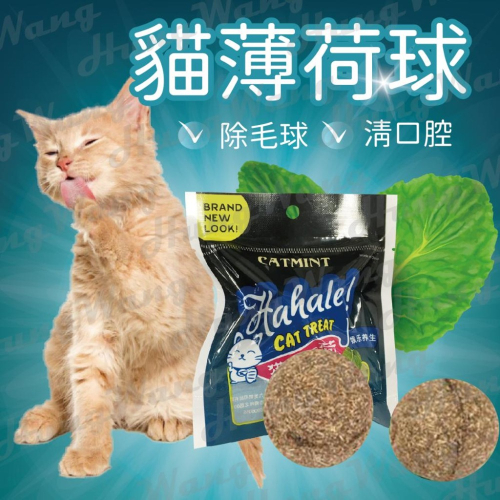 招弟生日同款做貓草球池~貓薄荷球 貓草球 貓草 貓咪用品 貓薄荷草 貓薄荷 木天蓼 貓玩具
