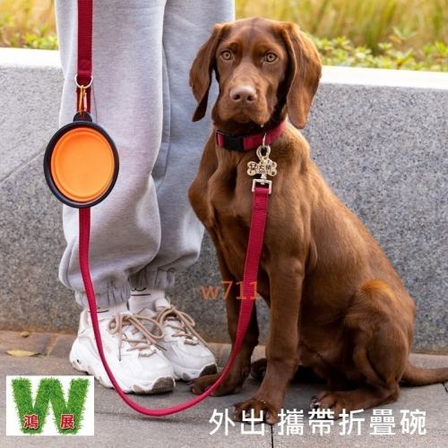 w711鴻展 貓狗 狗狗 摺疊碗 狗碗 貓碗 碗食盆 飲水碗 寵物 玩具 外出 戶外 攜帶 Meianju
