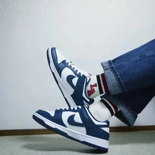 Nike Dunk Low Valerian Blue 白藏青 DD1391-400