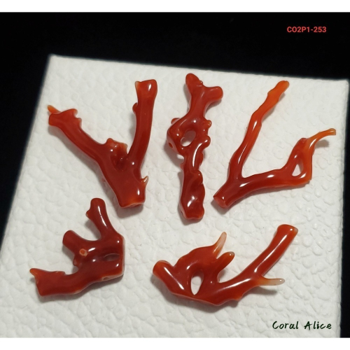 ?Coral珊寶手作-阿卡珊瑚自然枝(無孔) 20.0-37.0mm CO2P1-253
