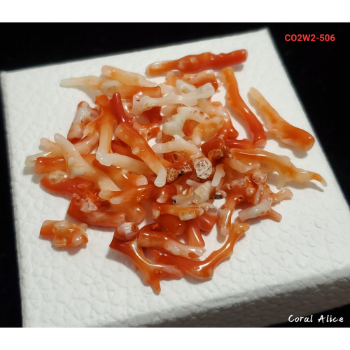 ?Coral珊寶手作-天然阿卡珊瑚小枝 7.0-30.8mm #供佛 #曼札 #入神 CO2W2-506