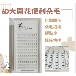 現貨 6D 大開花朵毛 便利花 朵毛 便利朵毛 6D朵毛 自動開花 朵毛 朵花 嫁接睫毛 便利花 美睫 美睫娜娜