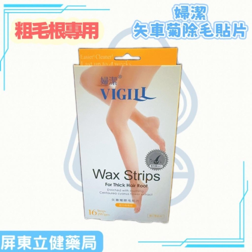 (屏東立健藥局)VIGILL婦潔 矢車菊除毛貼片-粗毛根專用 16片/盒