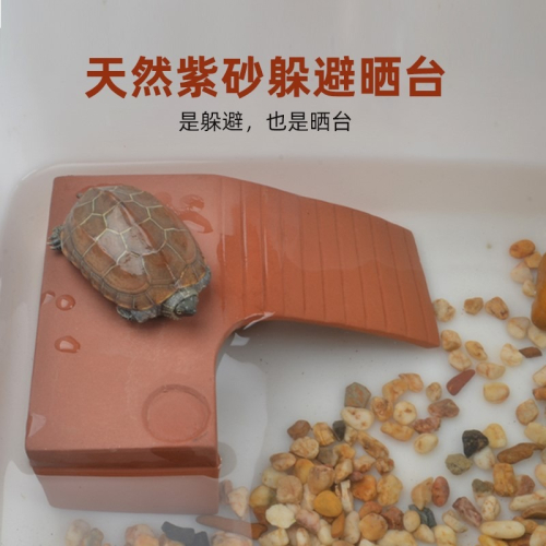 烏龜曬背臺倉鼠守宮角蛙魚躲避洞爬寵曬臺爬蟲躲避屋天然紫砂曬臺