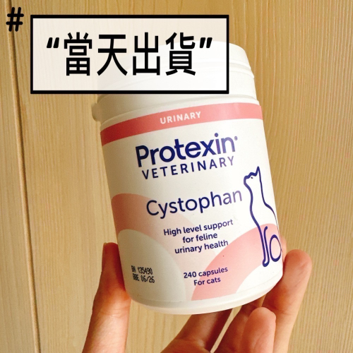 現貨‼️Protexin Cystophan for Cats 安泌利 寵特寶 240顆