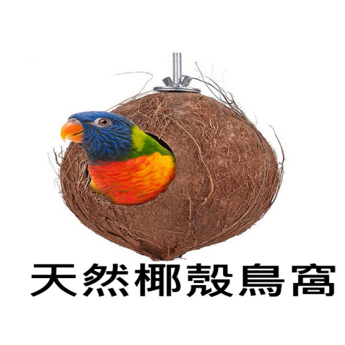 鸚鵡鳥窩 椰子椰殼 樹洞 樹窩 繁殖鸚鵡用品 鸚鵡玩具 玄鳳虎皮 牡丹 文鳥