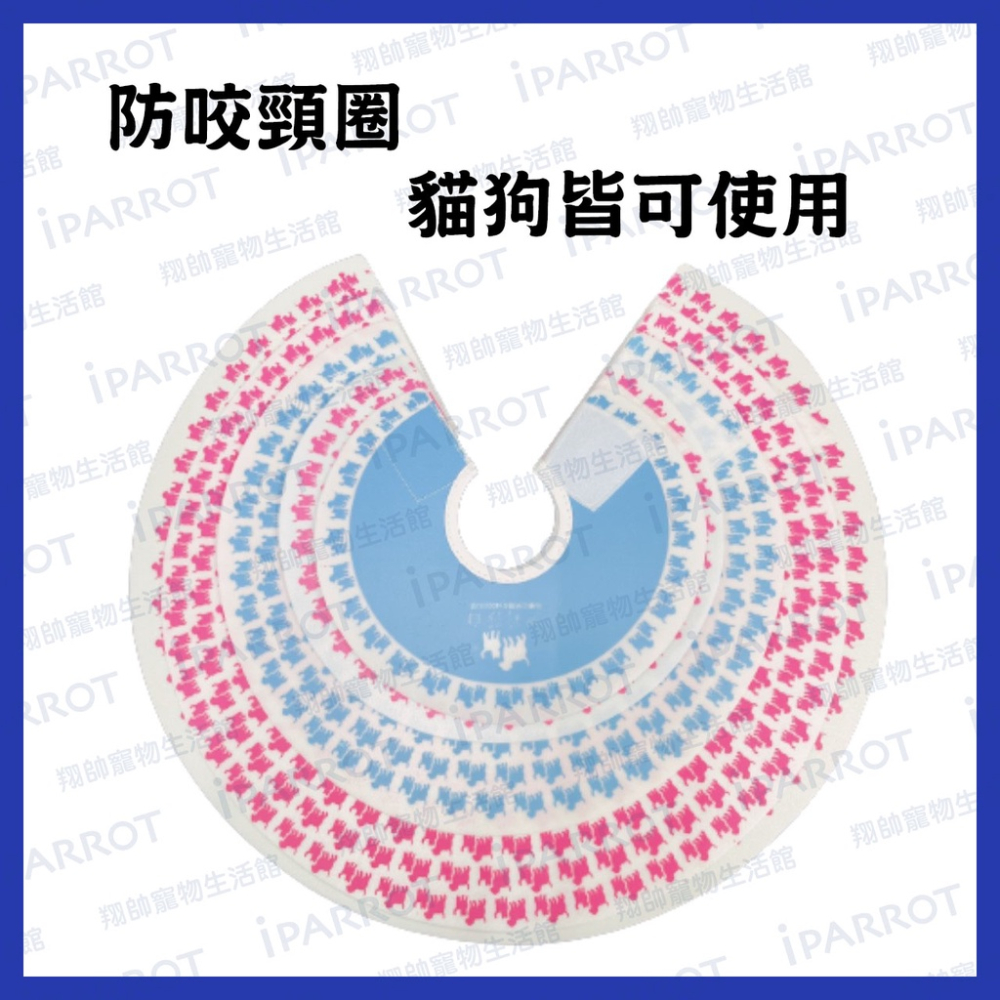 實體門市｜防咬頸圈｜寵物頭套｜羞恥圈｜防舔圈｜防舔頭套｜狗頭套｜貓頭套｜翔帥寵物生活館
