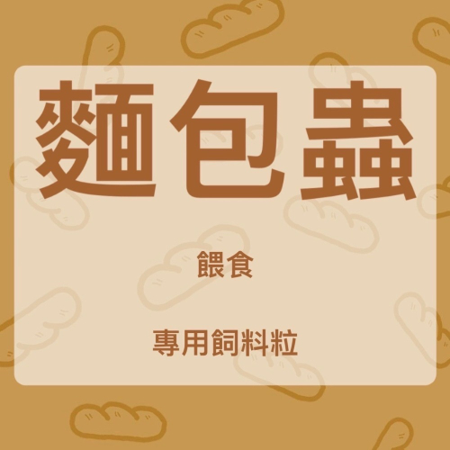 【蟑東西】麵包蟲餵食飼料粒