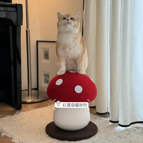紅蘑菇貓抓柱