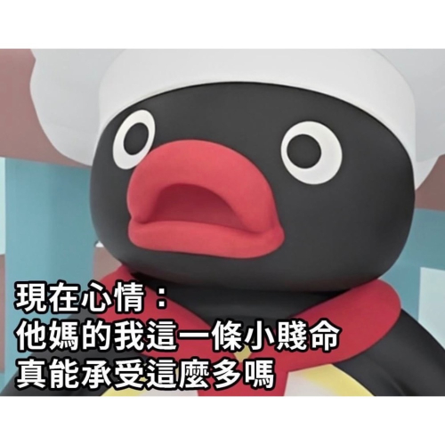 白色kitty