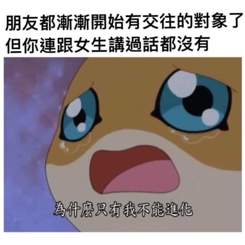 各類型顯示卡福袋3060/60ti/70/80
