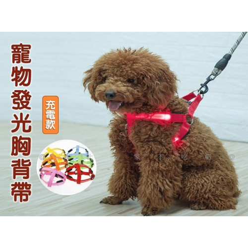 @貨比三家不吃虧@寵物發光胸背帶 LED發光寵物胸背帶 夜光狗背帶 牽引繩 寵物外出用品 可調節 牽繩 工型 狗項圈