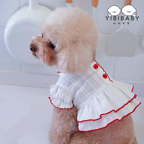 華麗極白禮服