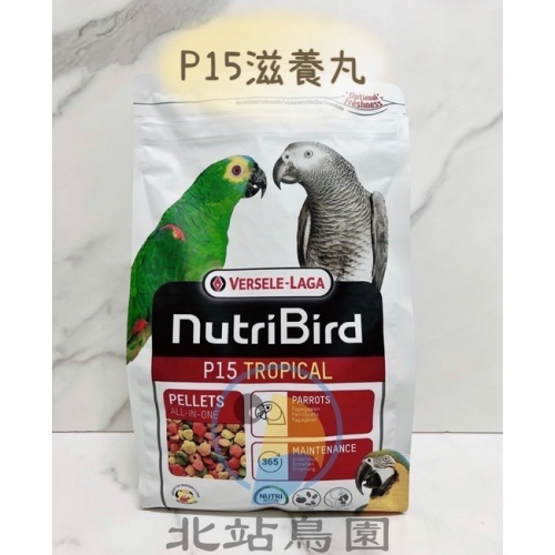 P15凡賽爾鸚鵡滋養丸 / 寵物鳥、大型鸚鵡用 / 輔助食品、幼鳥學吃 / 1kg、3kg
