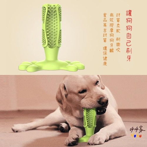 台灣現貨24H出?? 狗狗自助牙刷 中大型犬自助牙刷