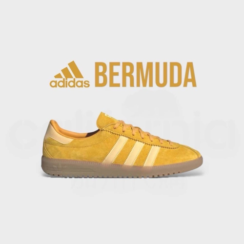 ?adidas Originals Bermuda ＂Bold Gold＂金黃色 ID4574男女通用款
