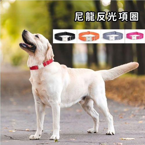 【擊掌寵物】尼龍反光狗項圈 項圈 狗狗項圈 寵物項圈