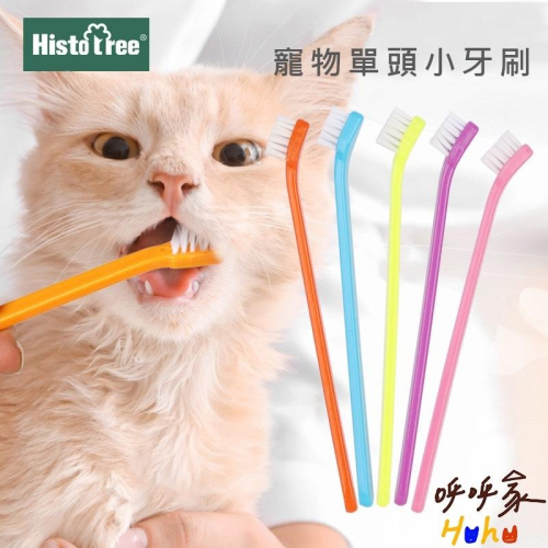 Histotree 寵物單頭牙刷 寵物口腔清潔 狗狗牙刷 貓咪牙刷