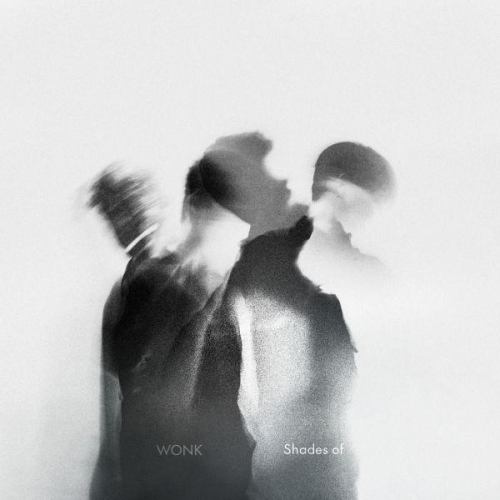 【日版黑膠】WONK《Shades of》