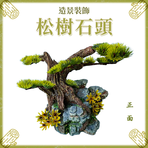 飾品 松樹石洞【SS-044】松樹石頭 松木 造景 裝飾 水族 爬蟲 美化環境 擺設 婷婷水族 兩棲爬寵