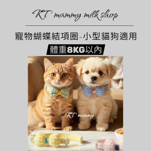 KT媽咪寵物配件用品團購-現貨,新款寵物限量,貓咪蝴蝶結頸圈,柯基泰迪寵物脖圈,波點蝴蝶結項鏈,寵物項圈 頸圈 領巾