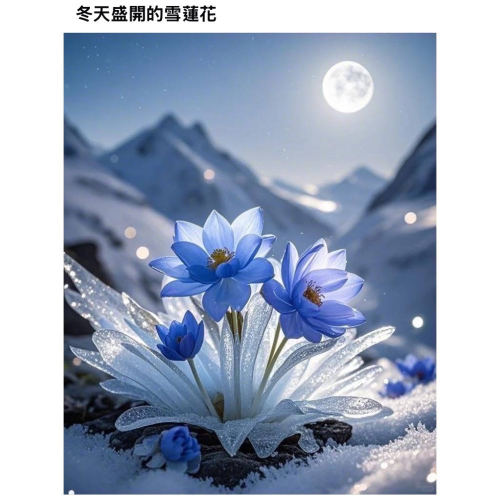 彥妤