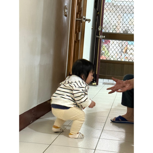 啟賦水解