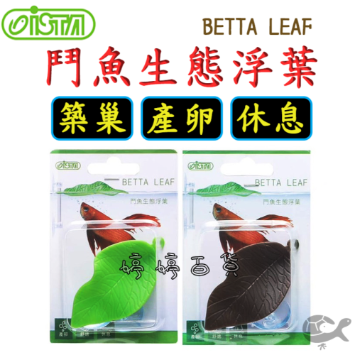ISTA 伊士達 鬥魚生態浮葉 鬥魚築巢 產卵 休息 躲藏 浮葉 婷婷水族 兩棲爬蟲