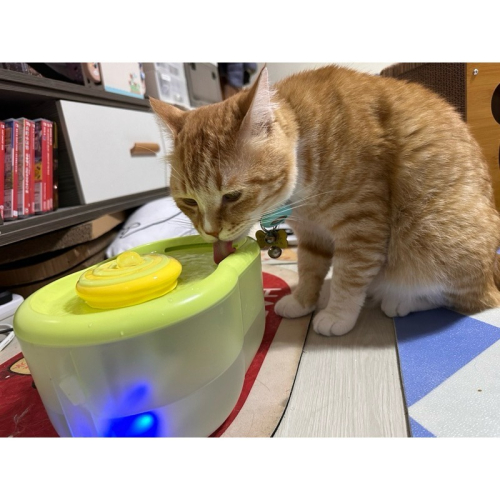 【妞與球】【台灣現貨24h出貨】寵物飲水機 飲水器 流動式飲水機