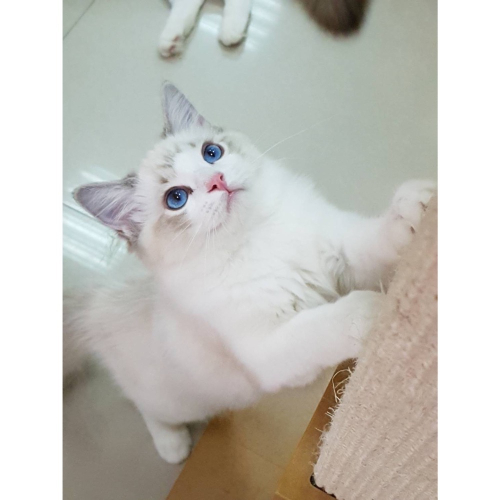 罐頭一箱