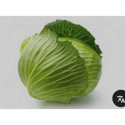 高麗菜