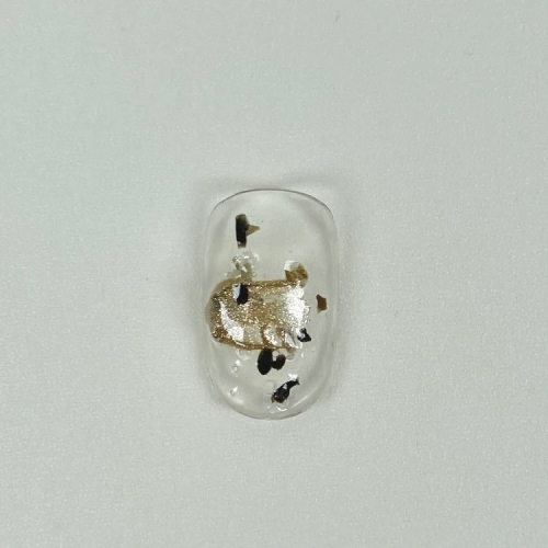 051/ 365 DAYS PLAN 穿戴甲 - tYF nail