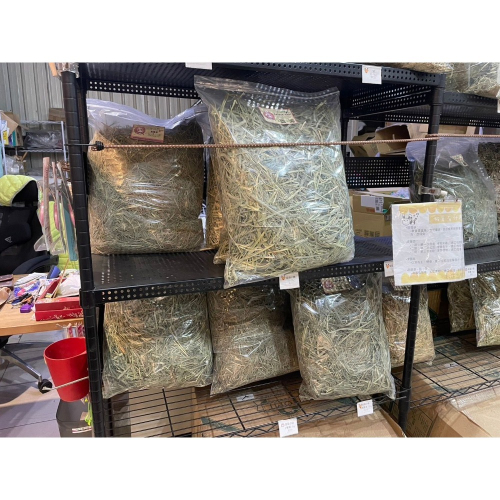 熊董兔BAR-盈盈牧草
