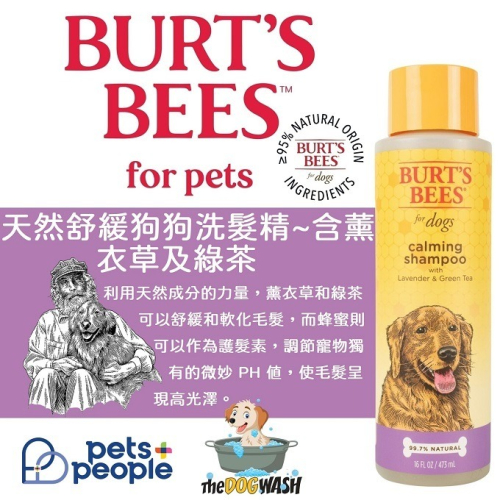 ?美國原裝? Burt＇s Bees for Pets 蜜蜂爺爺 狗狗舒緩鎮靜沐浴露，含薰衣草和綠茶