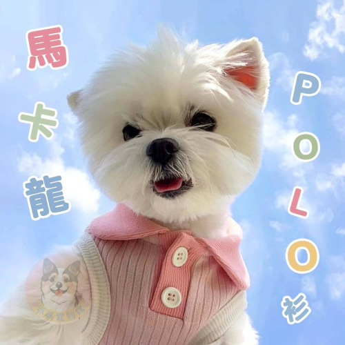馬卡龍POLO衫? 狗衣服 狗狗背心 狗狗衣服 寵物衣服 貓咪衣服 小狗衣服 夏天幼犬幼貓博美吉娃娃貴賓狗比熊臘腸狗衣服