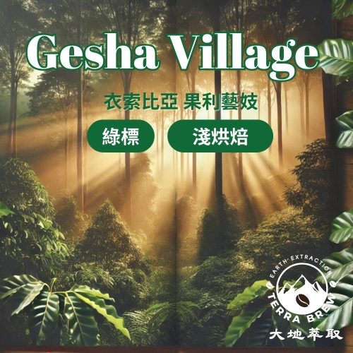 【聚元堂咖啡豆】◇綠標批次◇ 瑰夏村莊園 果利瑰夏 Shewa-Jibabu 地塊 日曬處理099 批次